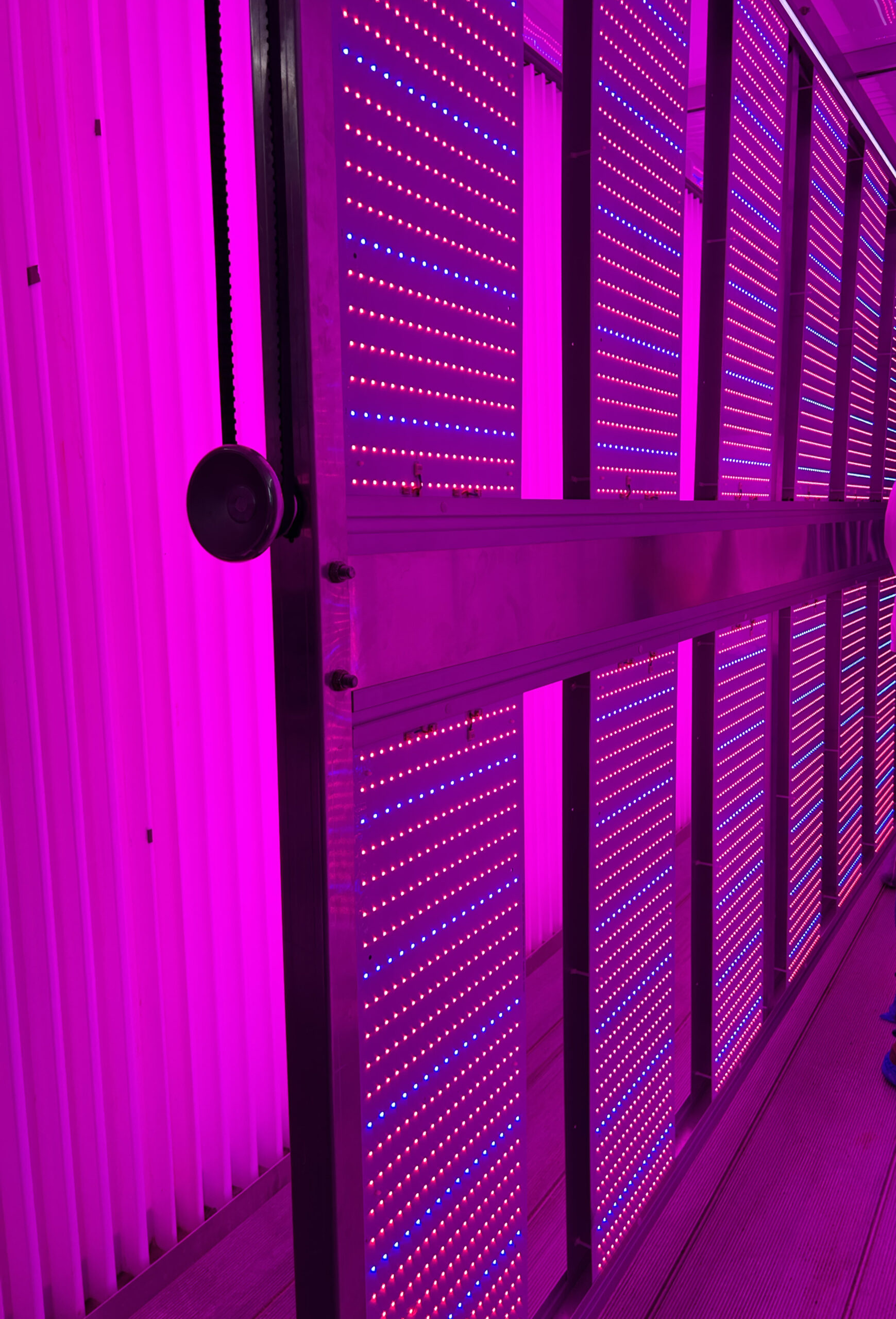 Vertical Farm